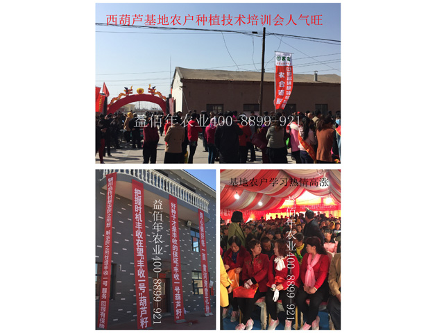 西葫芦基地农户种植技术培训会